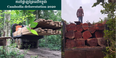 Cambodia deforestation 2020