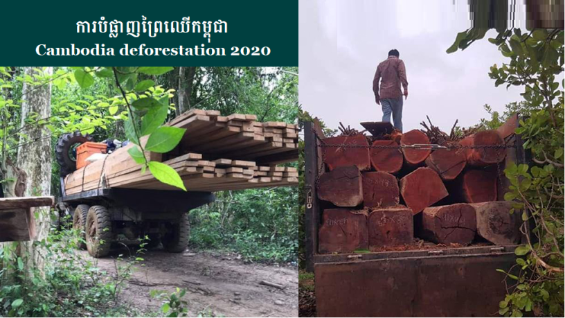 Cambodia deforestation 2020
